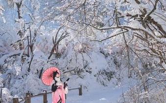 Neko薇薇与黎塞留泳装的图集——资源不少，恭喜各位！