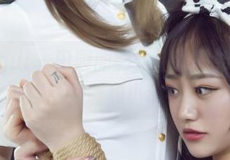 丽柜ligui – 田园丽影：甜甜是如何用资源撩动蝴蝶和小动物的？